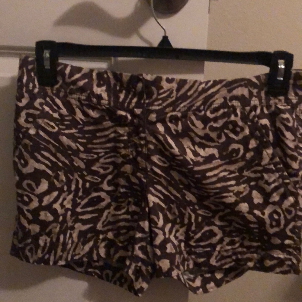 Ann Taylor Loft Animal Print Shorts Size 2